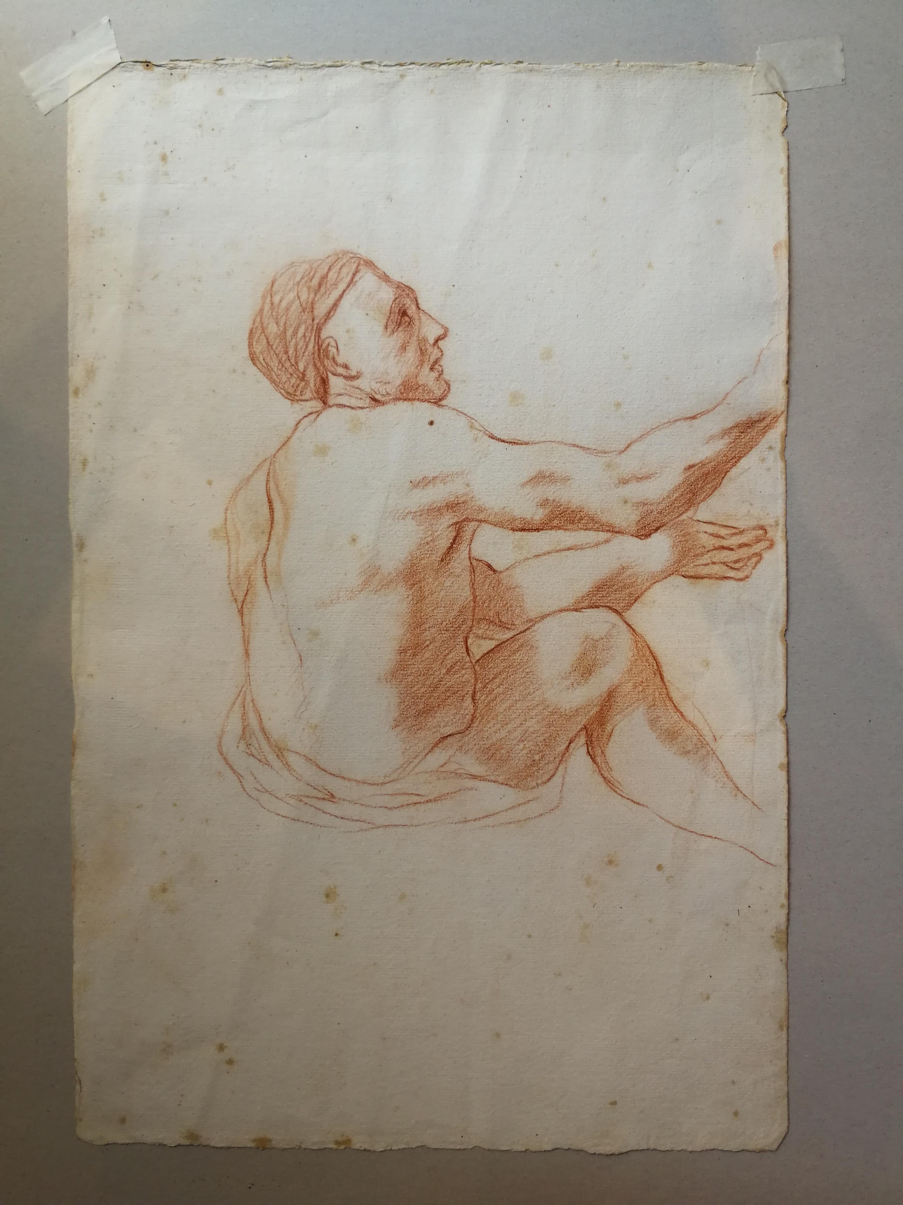 Figurative drawing male nude portrait 19th century Italian sanguine