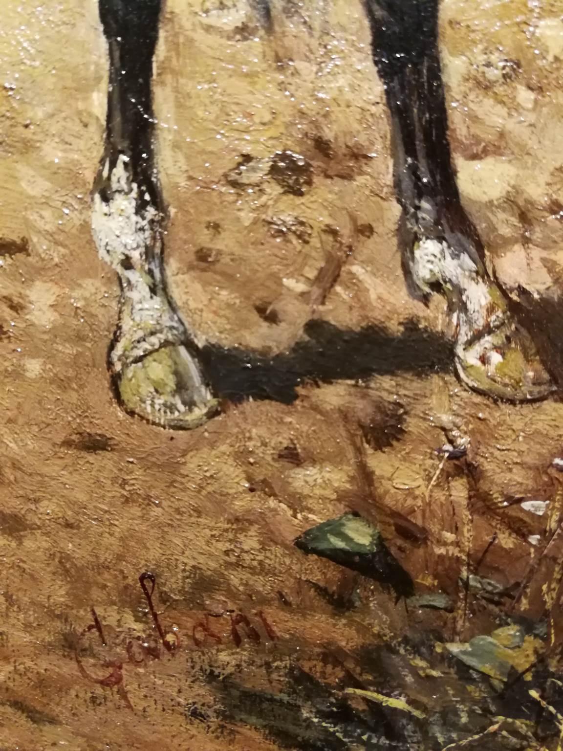 african horsemen