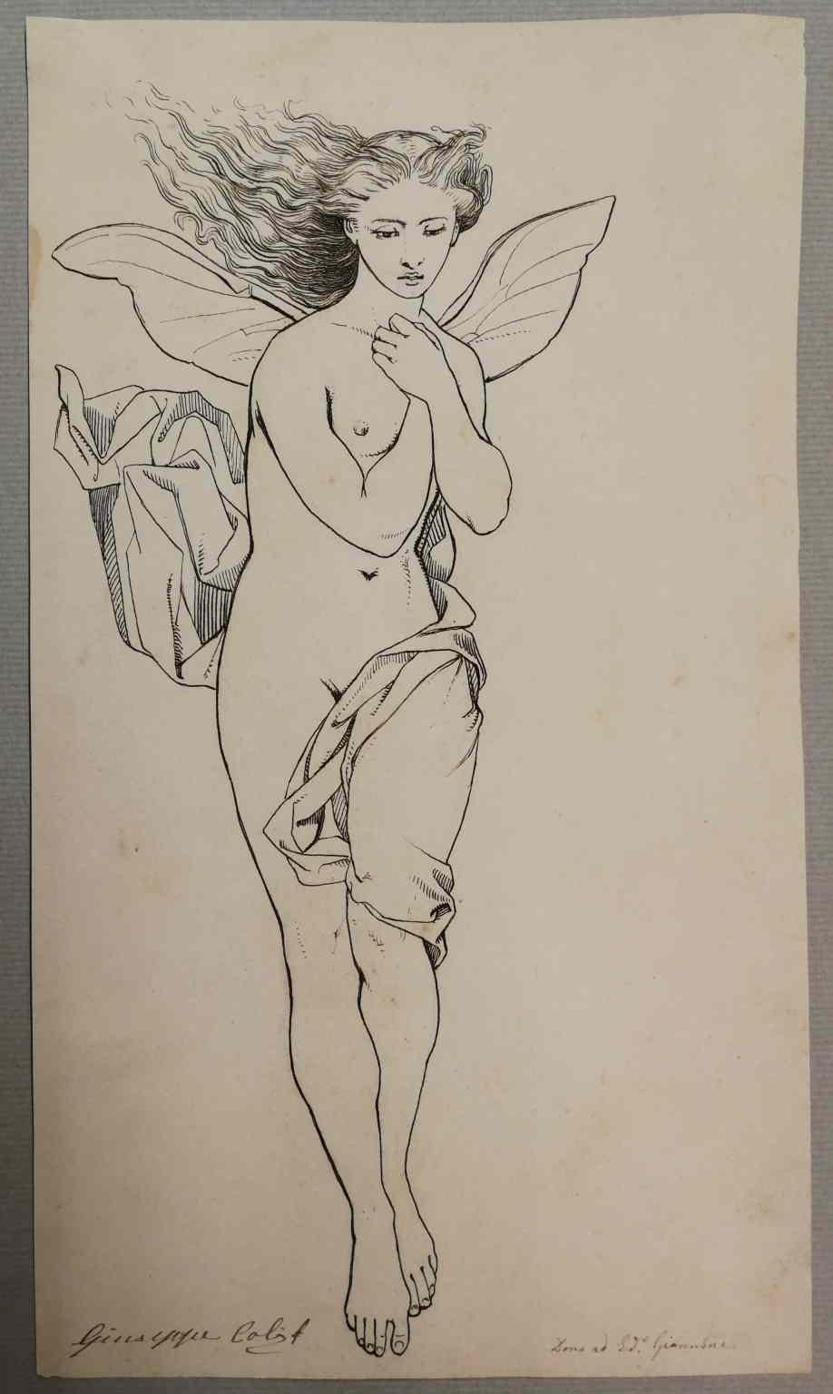 The drawing presumably represents Psyche when leaving the Underwolrd during one of the labours she had to pass through in order to be reunited with her love, Cupid.
It's signed on the bottom left "Giuseppe Calì f(ecit)" and on the right "Dono ad