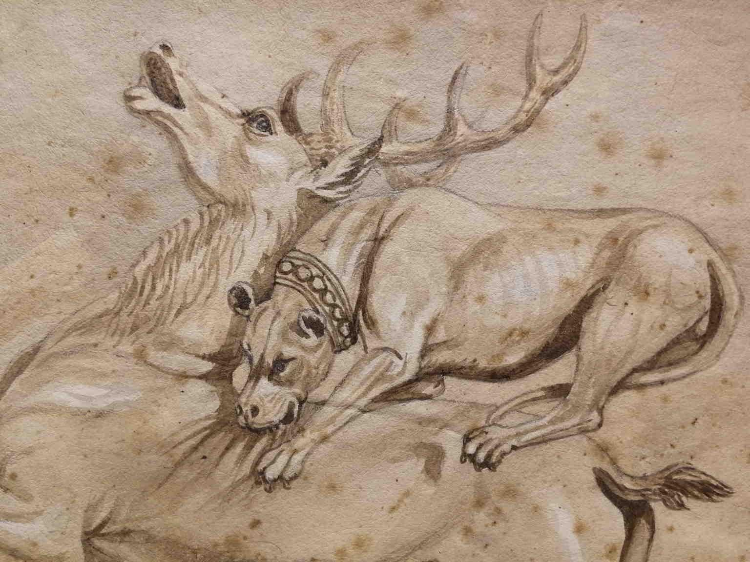 Italian Hunting Animal Drawing 19th century pencil ink watercolor paper