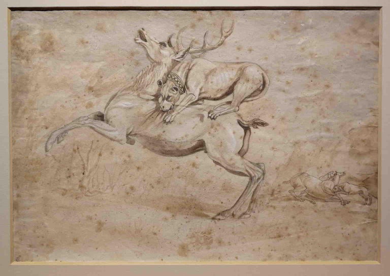 Italian Hunting Animal Drawing 19th century pencil ink watercolor paper - Art by Unknown