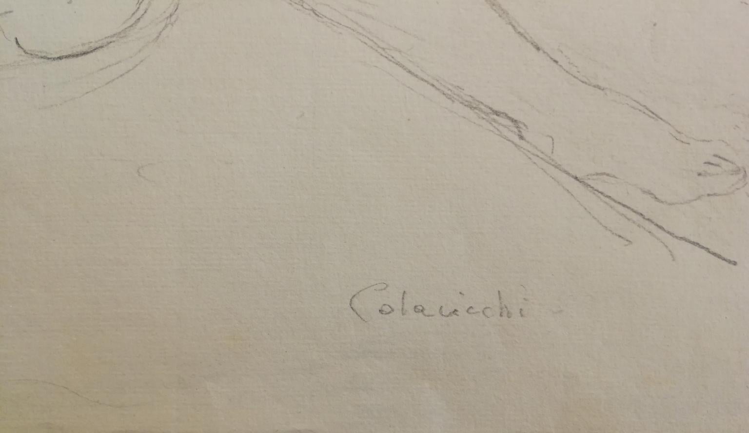 Signed Colacicchi Male Nude Drawing Mid-20 century pencil on paper  1