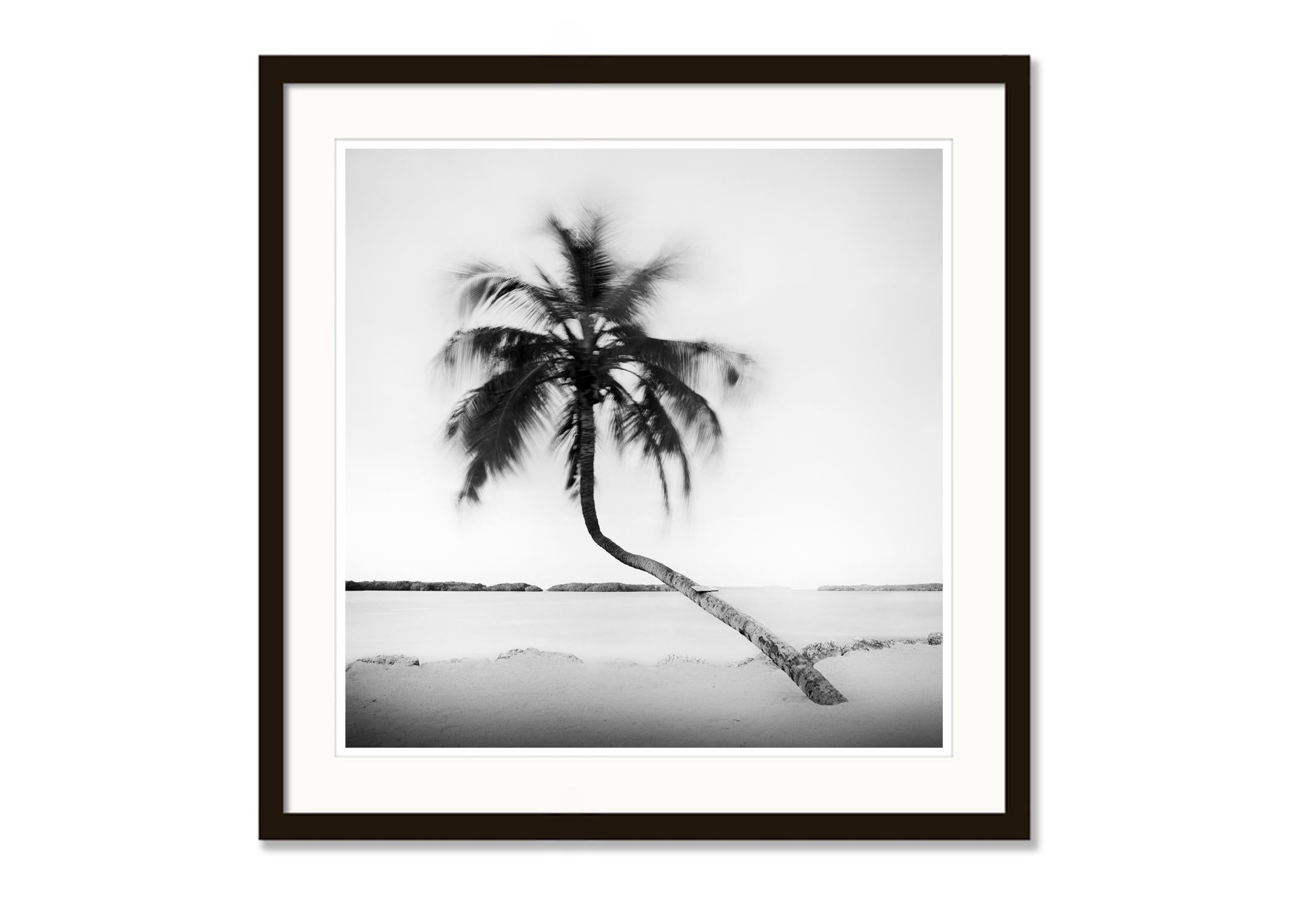 SILVERFINEART - Black and white landscape photography. Limited edition of 9. Produced from the original 6x6cm medium format black and white negative film and printed as archival pigment ink print on fine art paper. Hand signed, titled, negative