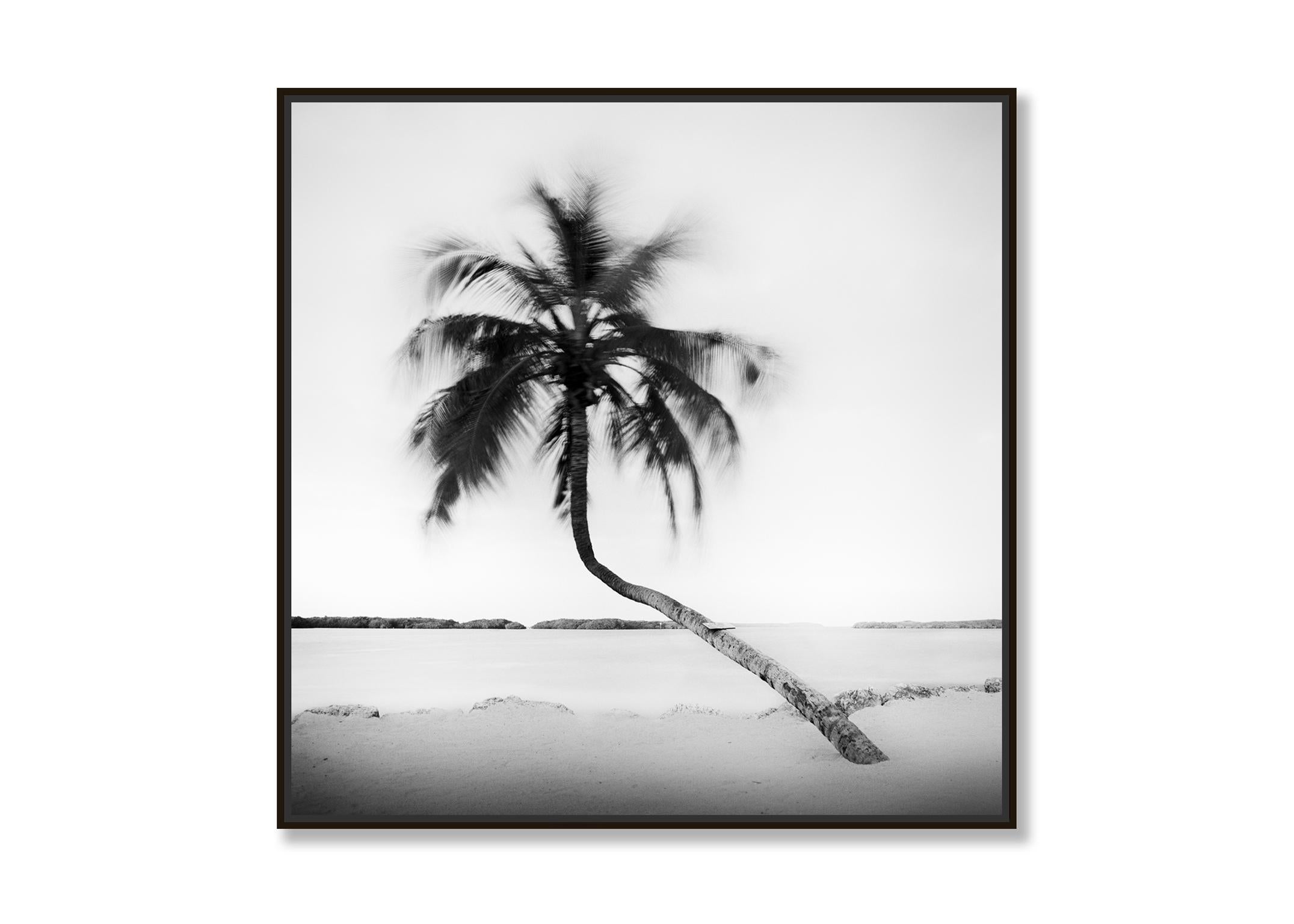 Bent Palm, Beach, Florida, USA, black and white fine art photography landscape - Contemporary Photograph by Gerald Berghammer, Ina Forstinger