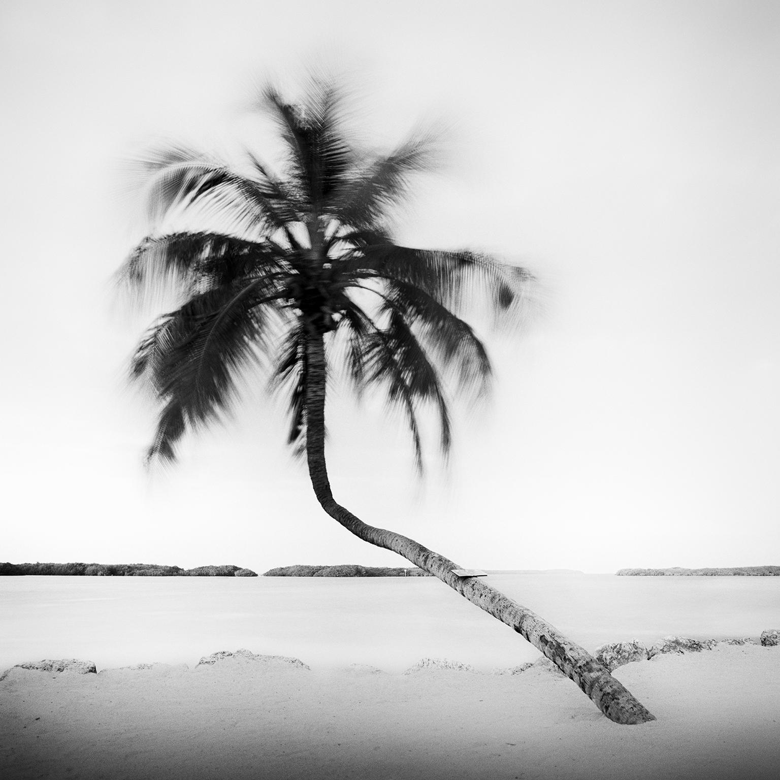 Gerald Berghammer, Ina Forstinger Black and White Photograph - Bent Palm, Beach, Florida, USA, black and white fine art photography landscape