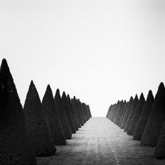 Hedges, Versailles, Paris, France, black and white art photography, landscape