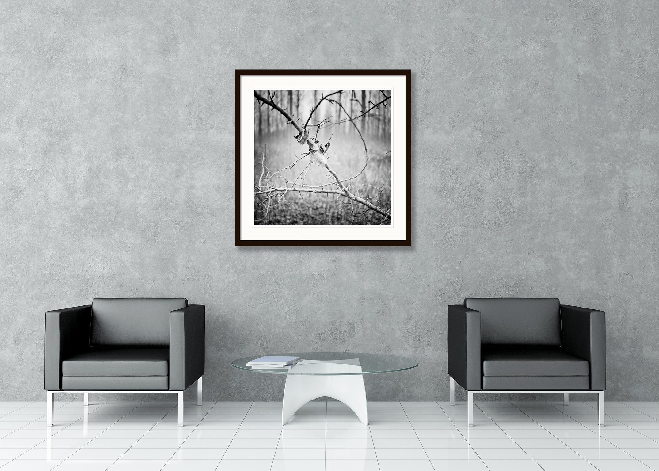 Branch and leaf, Austria, contemporary black and white photography, landscape - Contemporary Photograph by Gerald Berghammer