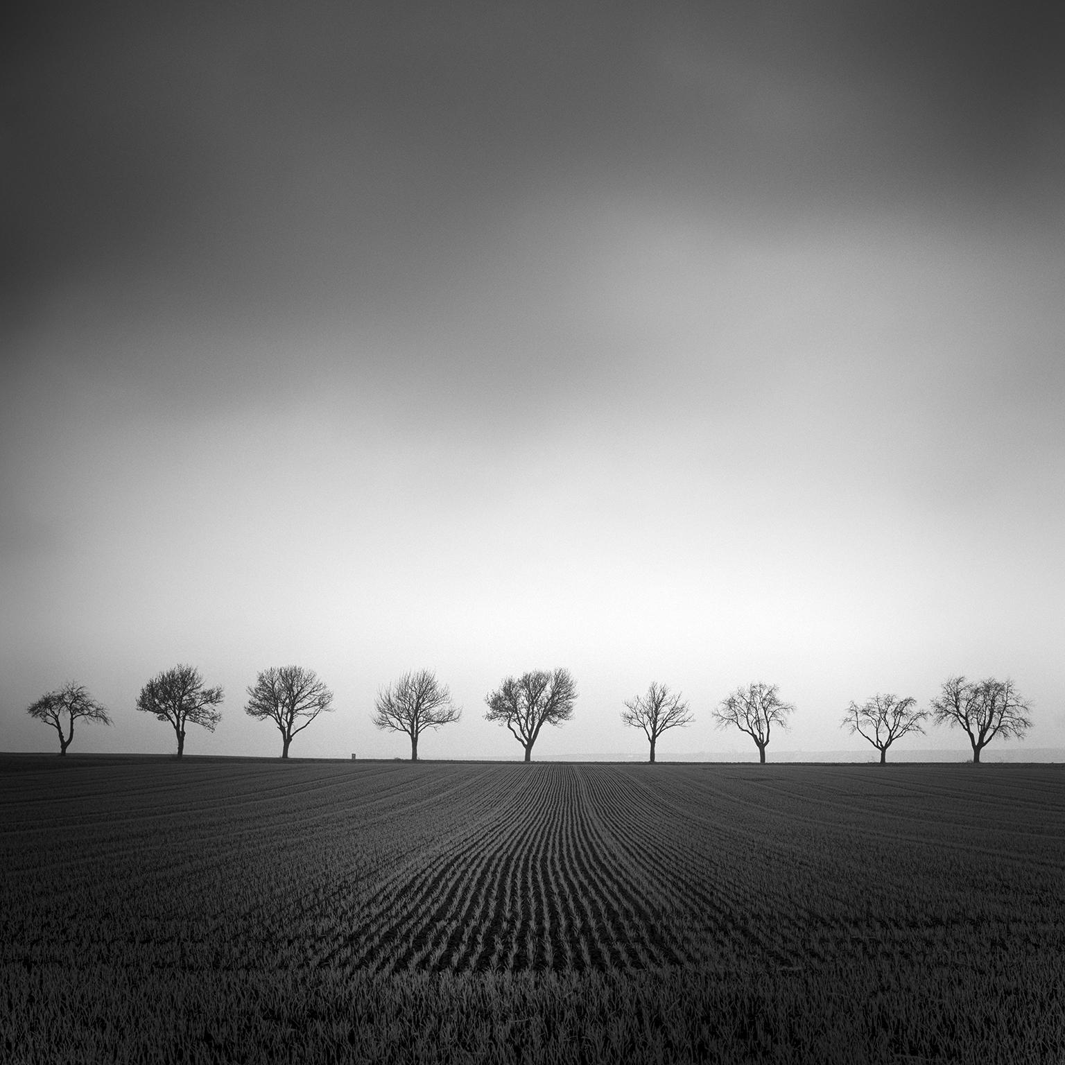 Gerald Berghammer Black and White Photograph – Neun Kirschbaumbäume, Österreich, zeitgenössische Schwarz-Weiß-Fotografie, Landschaft