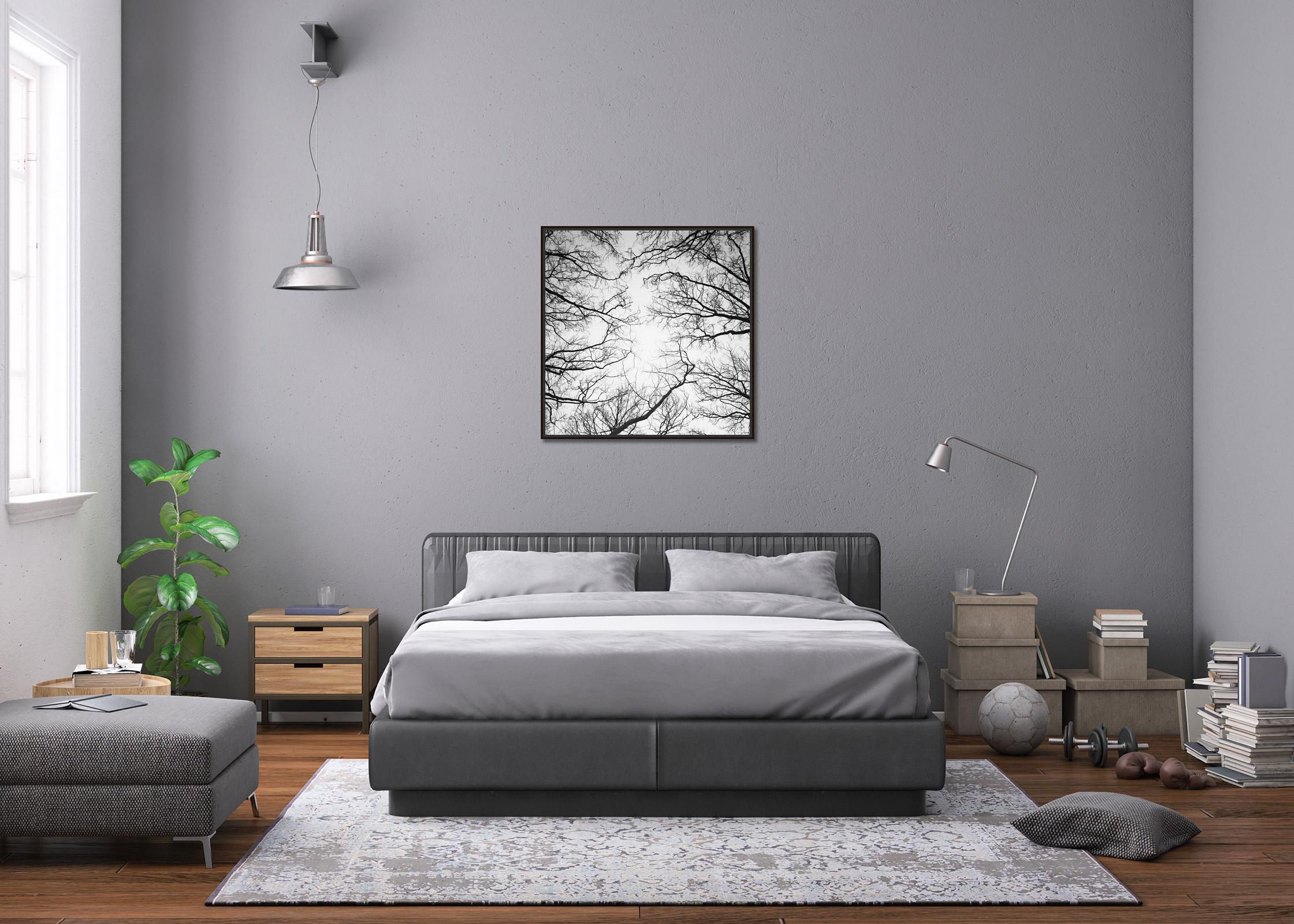 Kastanienbäume, Versailles, Paris, Schwarz-Weiß-Fotografie, Landschaft, Kunst im Angebot 2