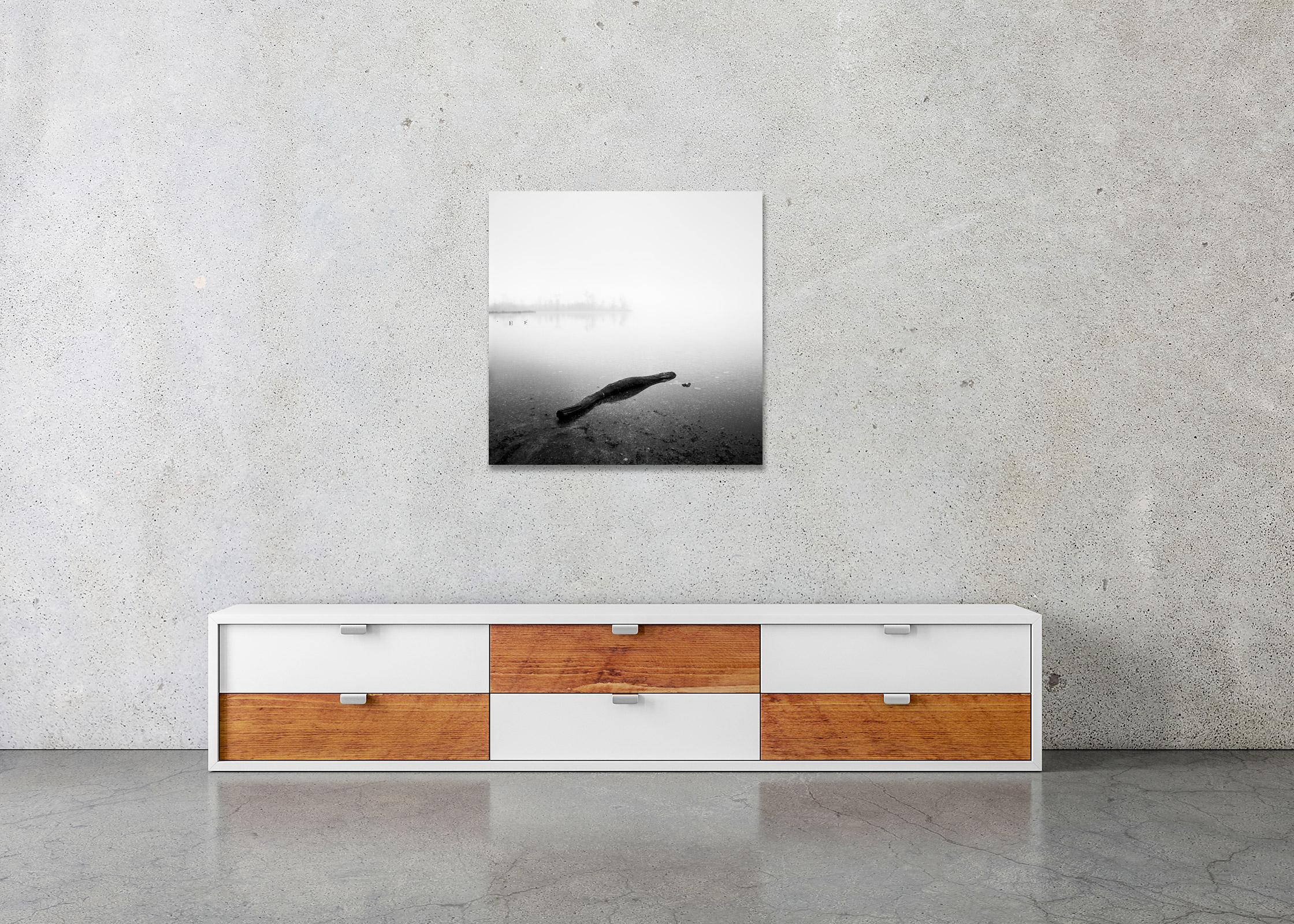 Drift Wood, Lake, Austria, black and white long exposure photography, landscape For Sale 2