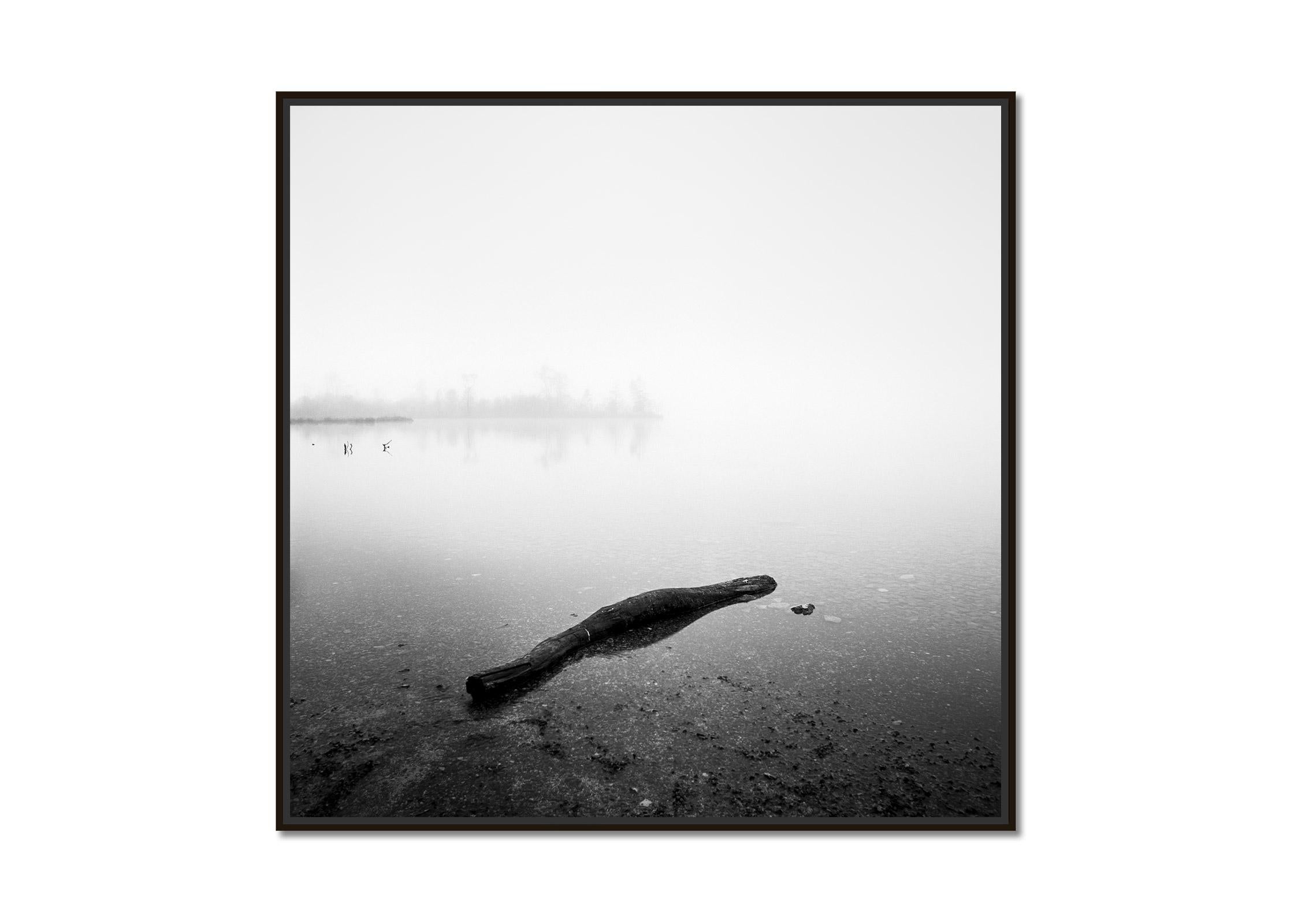 Drift Wood, Lake, Austria, black and white long exposure photography, landscape - Photograph by Gerald Berghammer
