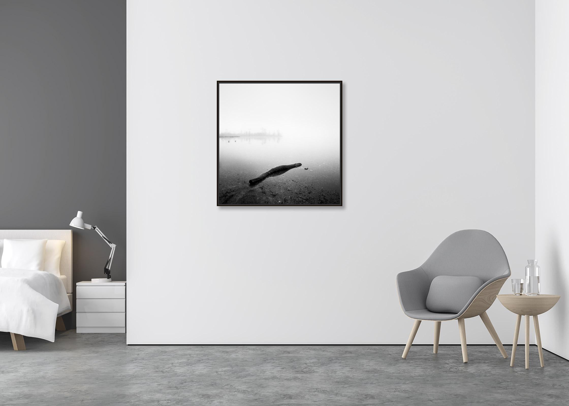 Drift Wood, Lake, Austria, black and white long exposure photography, landscape - Contemporary Photograph by Gerald Berghammer