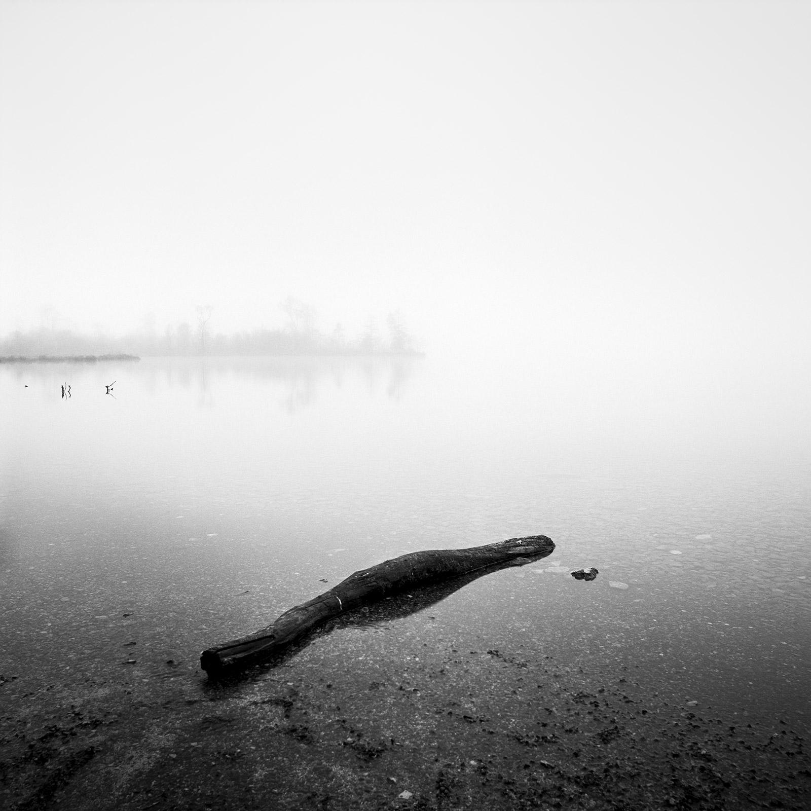 Gerald Berghammer Landscape Photograph - Drift Wood, Lake, Austria, black and white long exposure photography, landscape