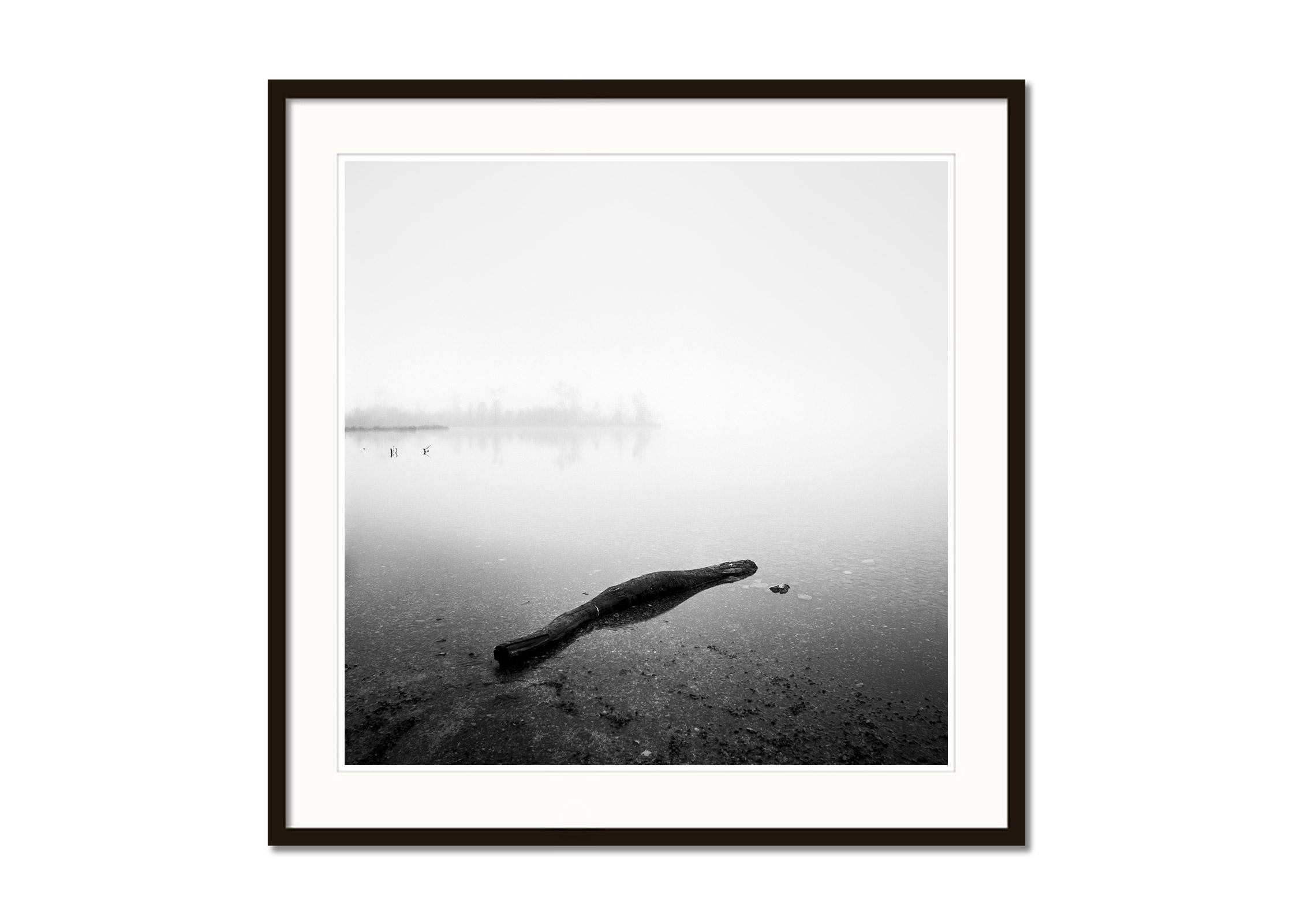 Drift Wood, Lake, Austria, black and white long exposure photography, landscape - Gray Landscape Photograph by Gerald Berghammer