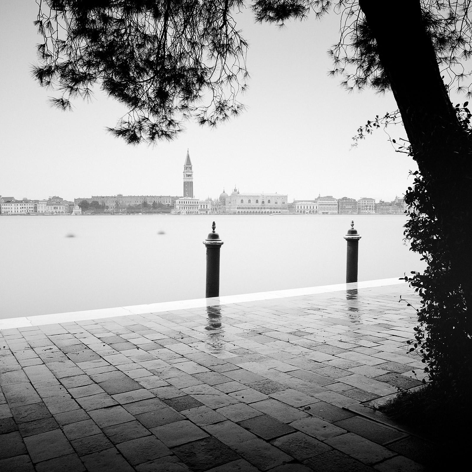 Piazza San Marco, Venice, Canal Grande, black and white photography, landscape
