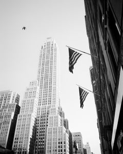 Bird in the City, New York City, USA, black and white photography, landscape