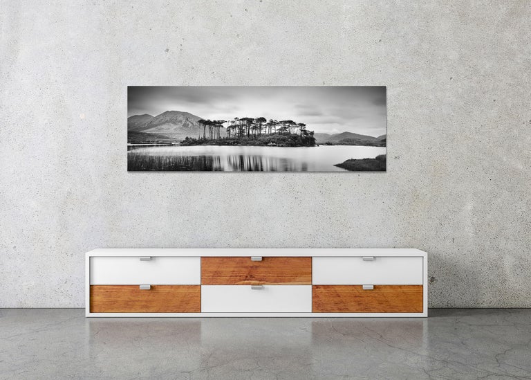 Tree Island, Ireland, contemporary art black and white photography, landscape For Sale 2