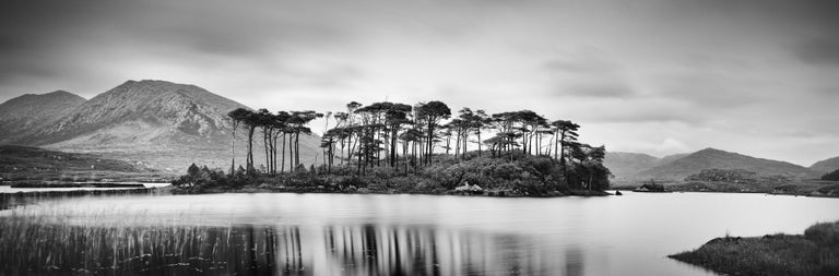 Gerald Berghammer Black and White Photograph - Tree Island, Ireland, contemporary art black and white photography, landscape