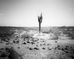 Archival Ink Landscape Photography