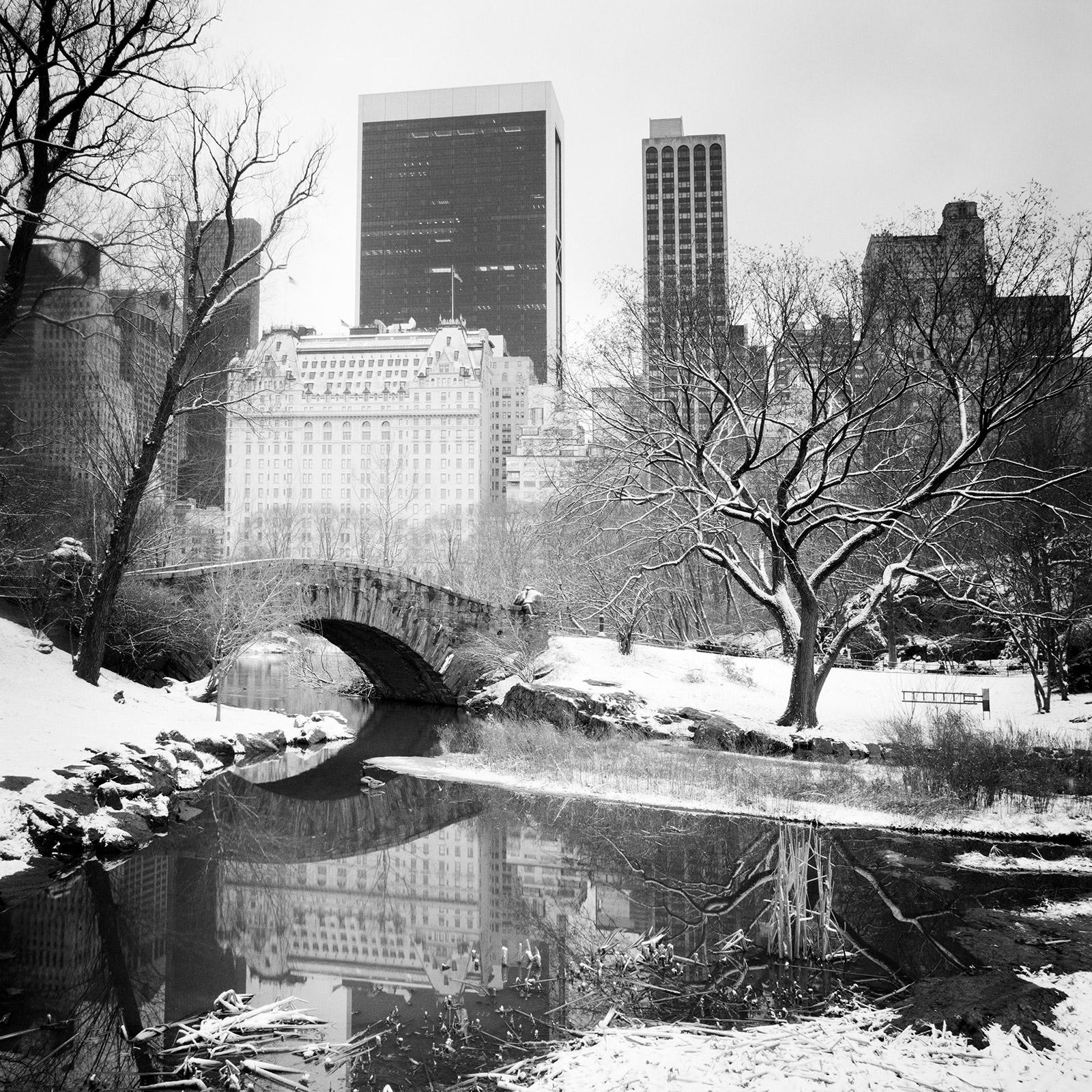 Schnee bedeckter Central Park, New York City, Schwarz-Weiß-Fotolandschaften