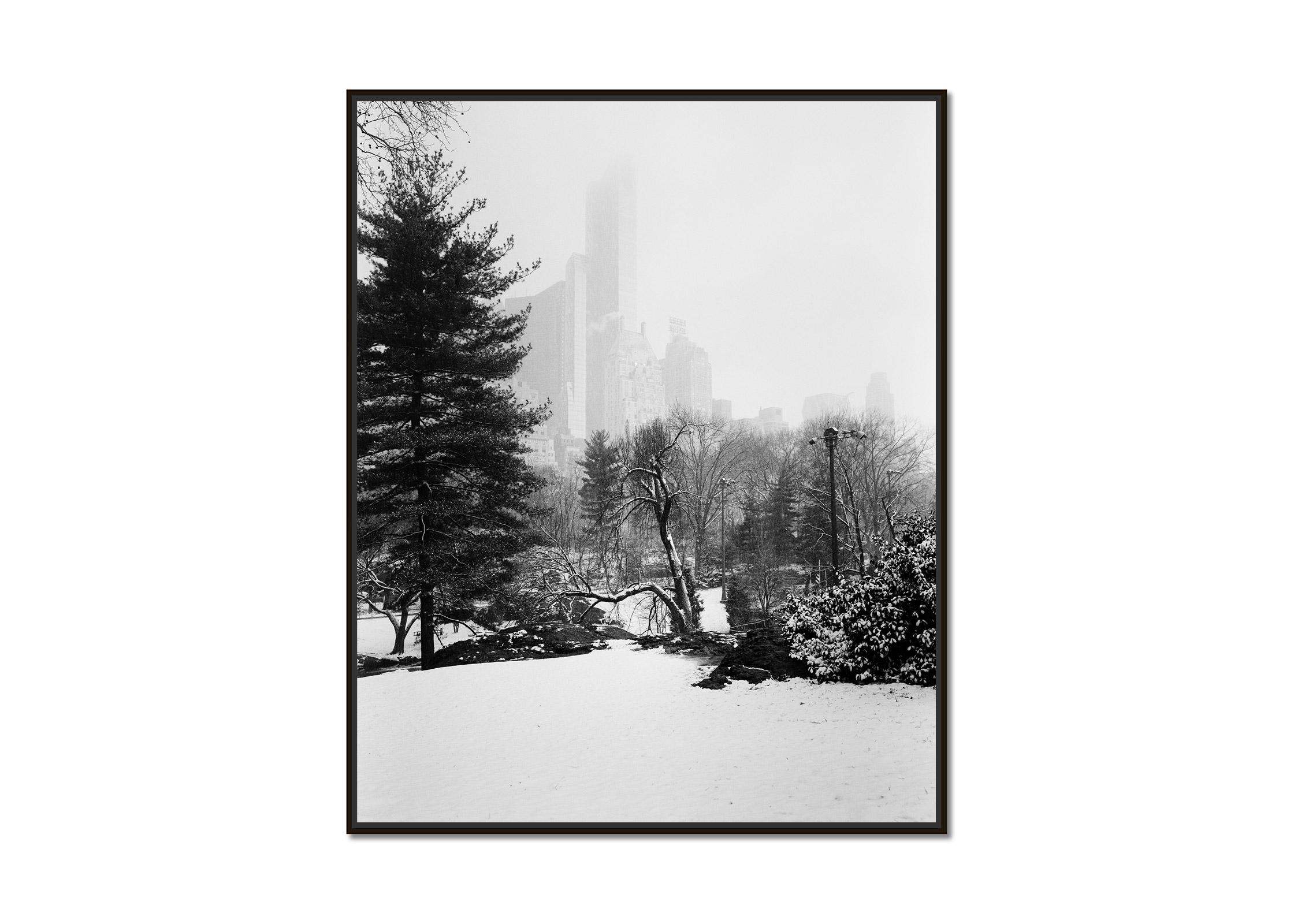 Snow Covered Central Park, New York, USA, black and white photography, landscape - Photograph by Gerald Berghammer