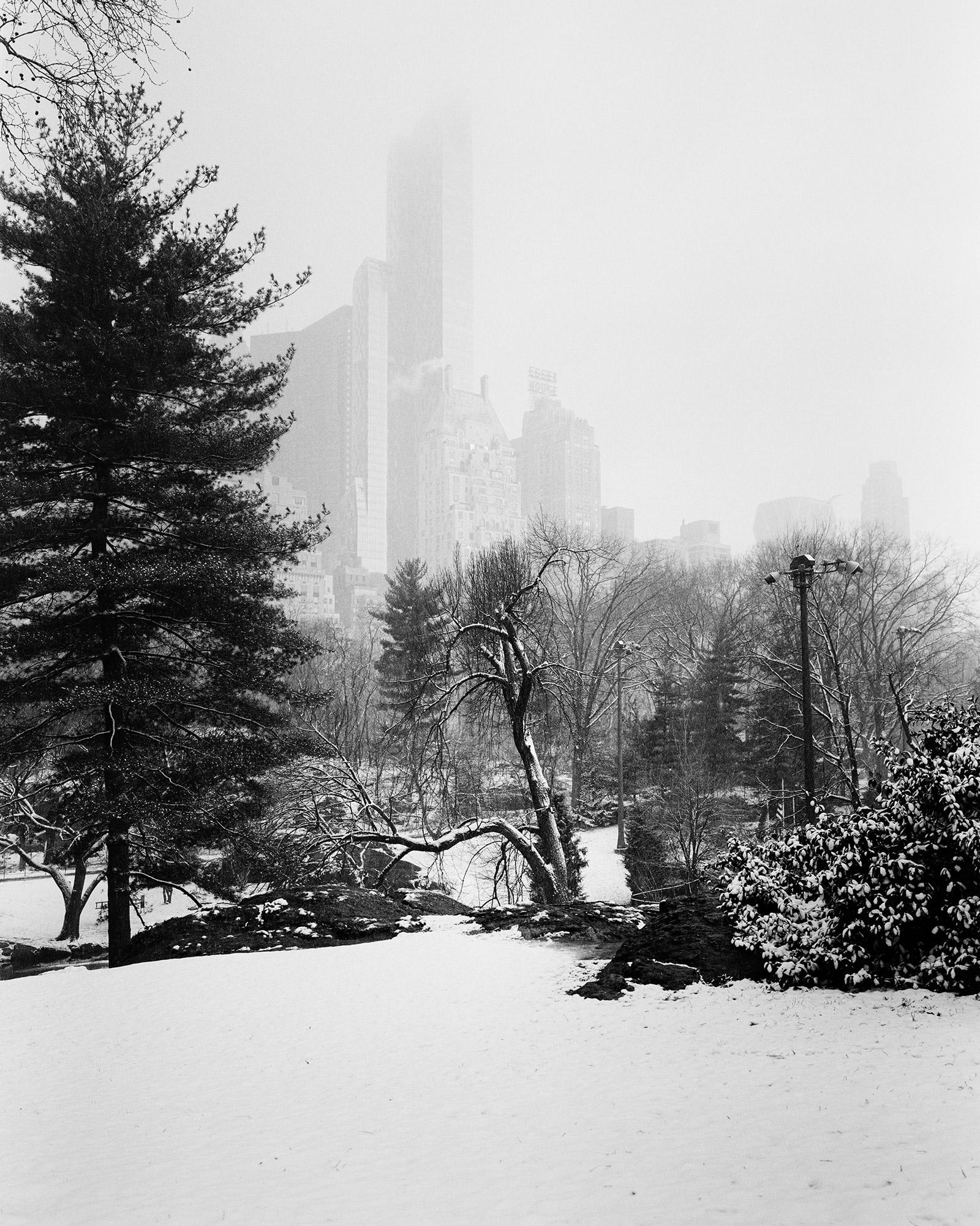 Schnee bedeckter Central Park, New York, USA, Schwarz-Weiß-Fotografie, Landschaft
