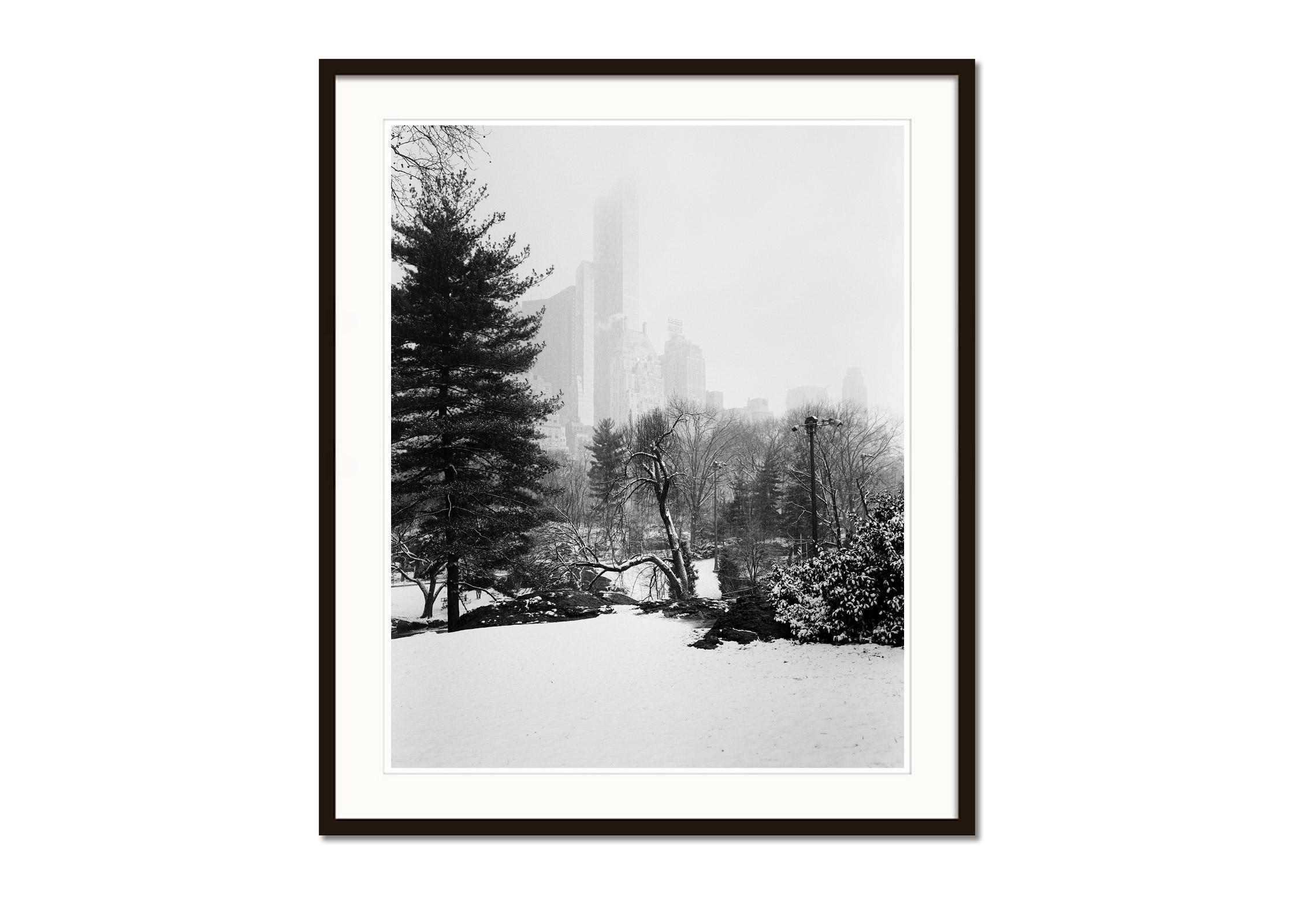 Central Park ricoperto di neve, New York, USA, fotografia in bianco e nero, paesaggio - Black and White Photograph Grigio di Gerald Berghammer