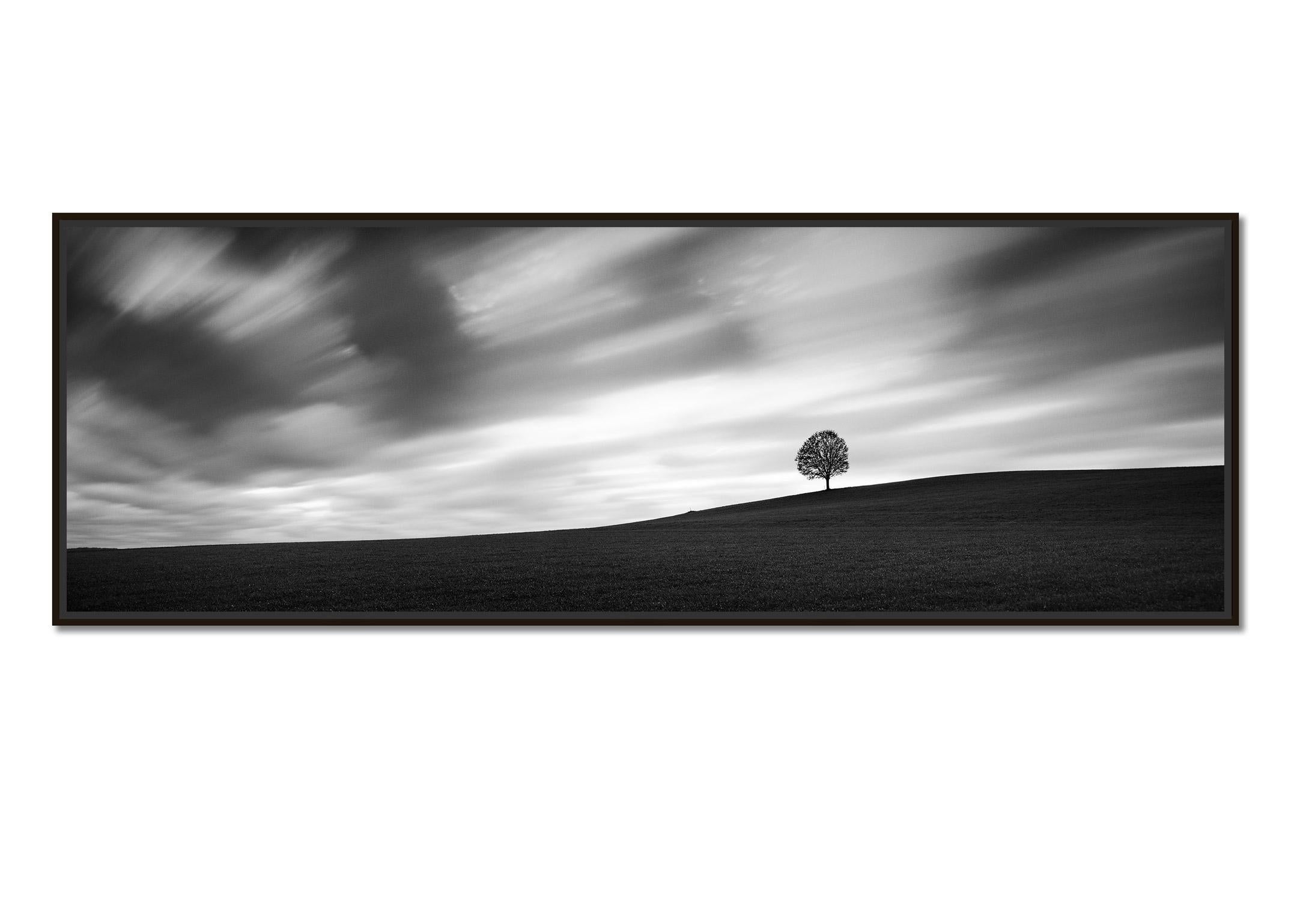 Turbulent Times, Single Tree, Storm, Long Exposure, black and white photography - Photograph by Gerald Berghammer