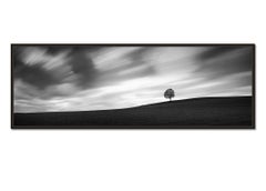 Turbulent Times, Single Tree - Storm - Long Exposure black and white photography