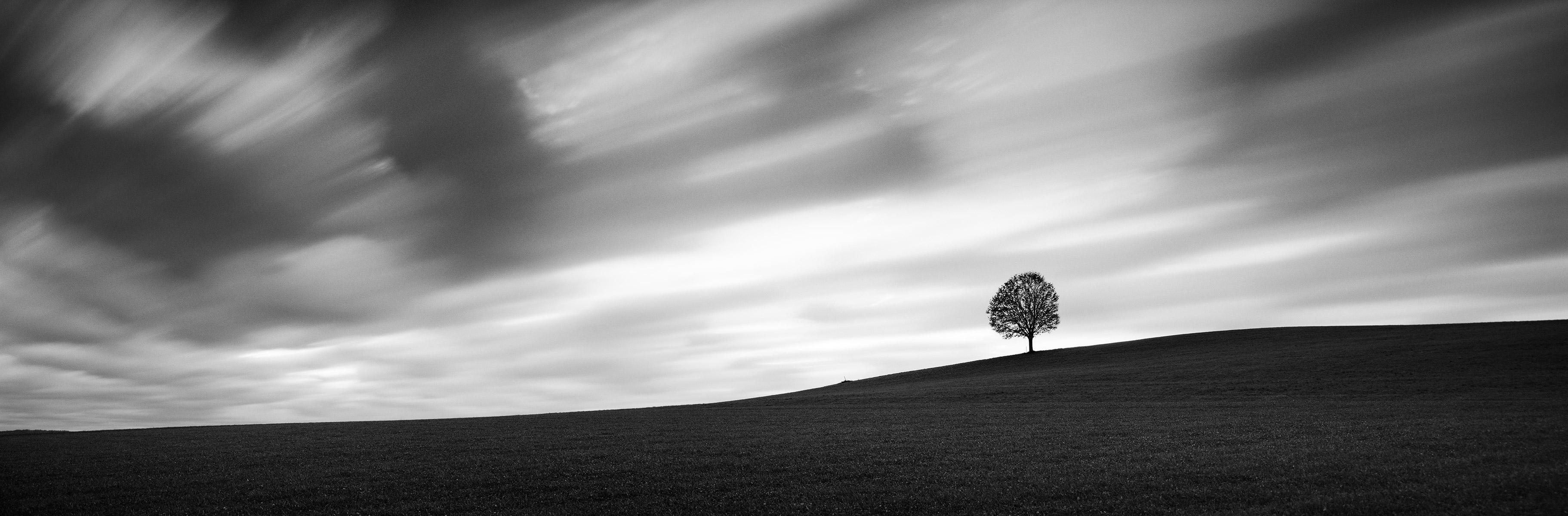 Turbulent Times, Single Tree, Storm, Long Exposure, black and white photography