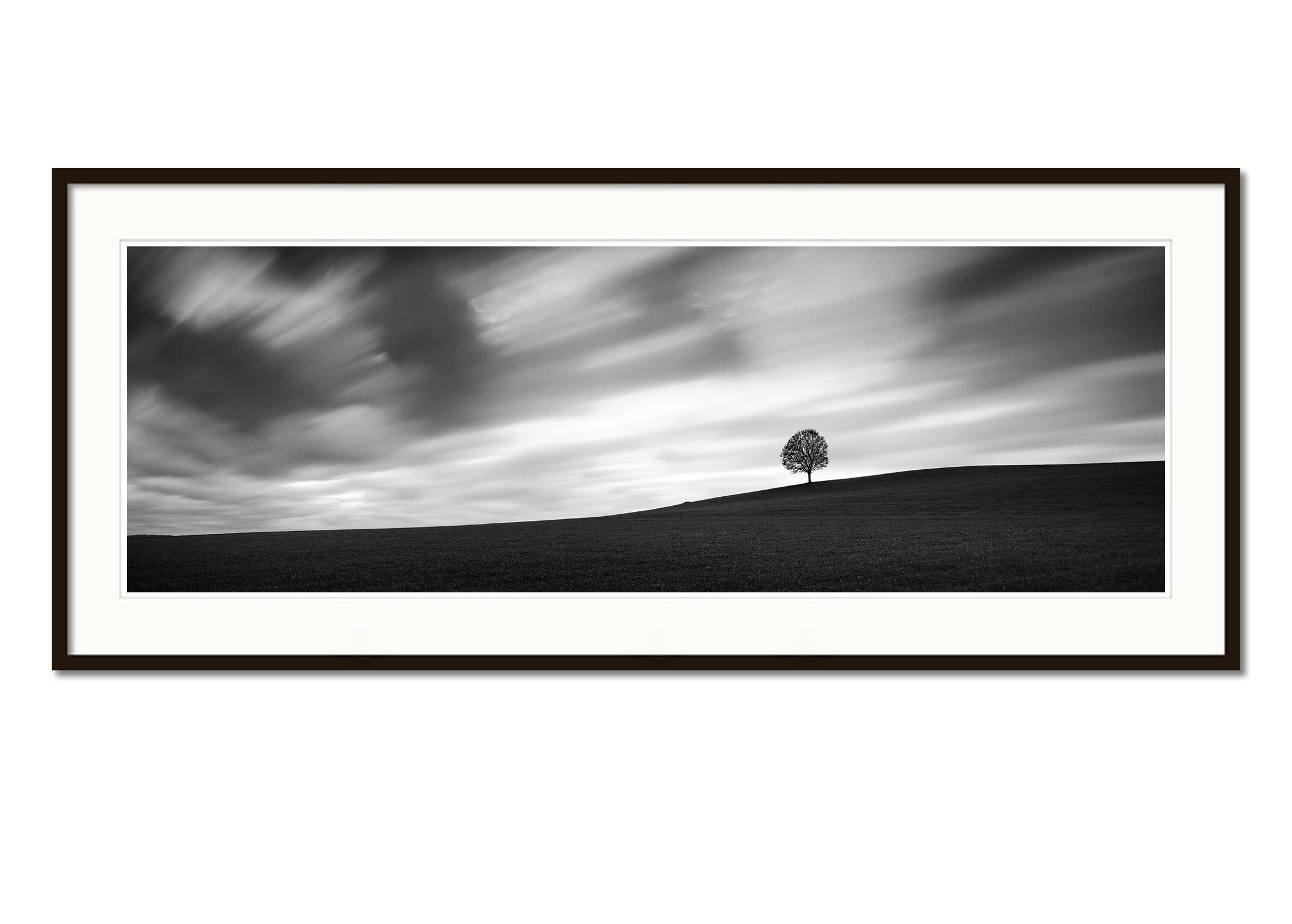 Turbulent Times, Single Tree, Storm, Long Exposure, black and white photography - Black Black and White Photograph by Gerald Berghammer