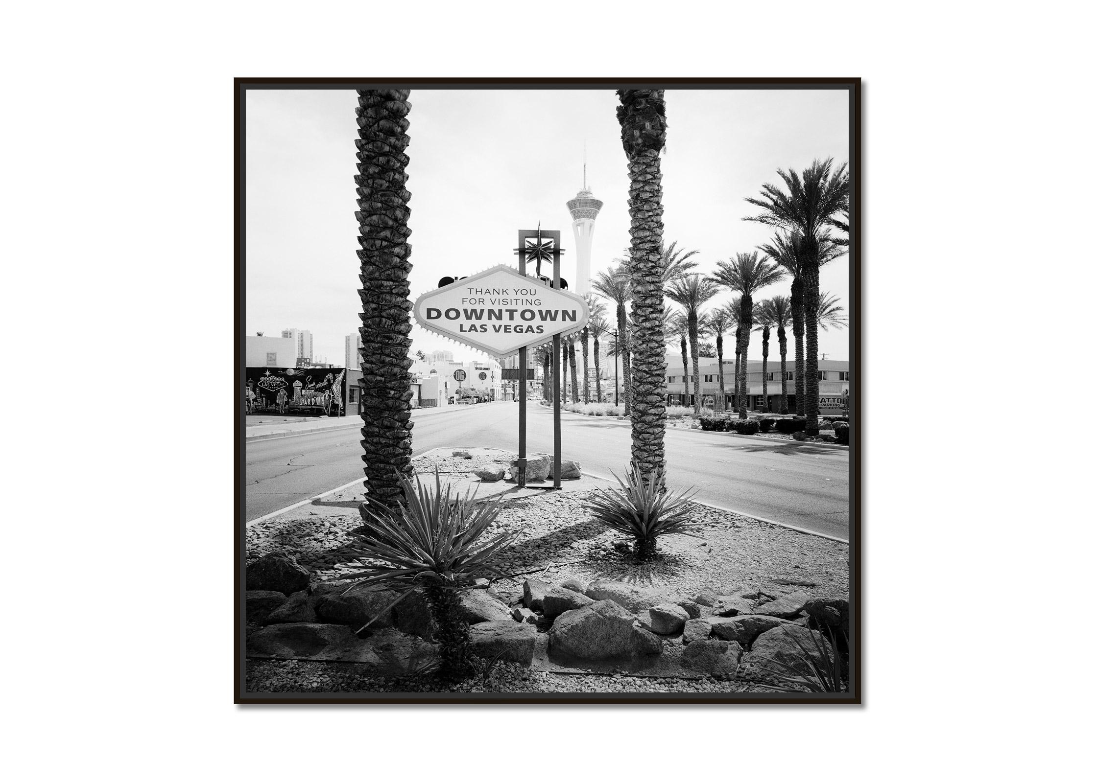 Centro di Las Vegas, Nevada, Stati Uniti, stampe in bianco e nero, paesaggi, palme - Photograph di Gerald Berghammer