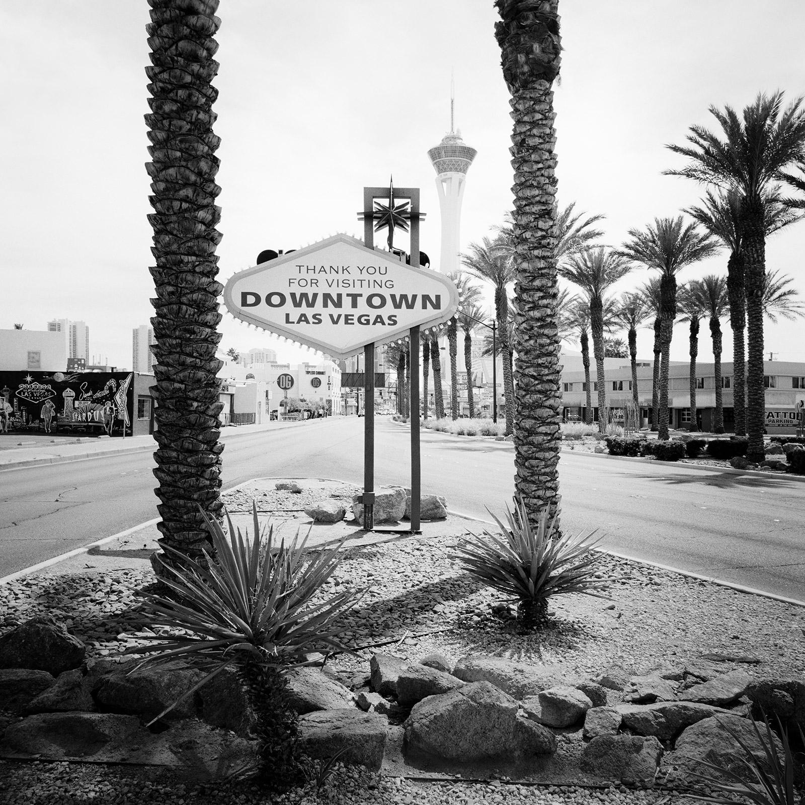Gerald Berghammer Landscape Photograph - Downtown Las Vegas, Nevada, USA, black & white prints, landscapes, palm trees