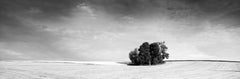 Little Green Island Austria, black and white art fine art photography landscapes