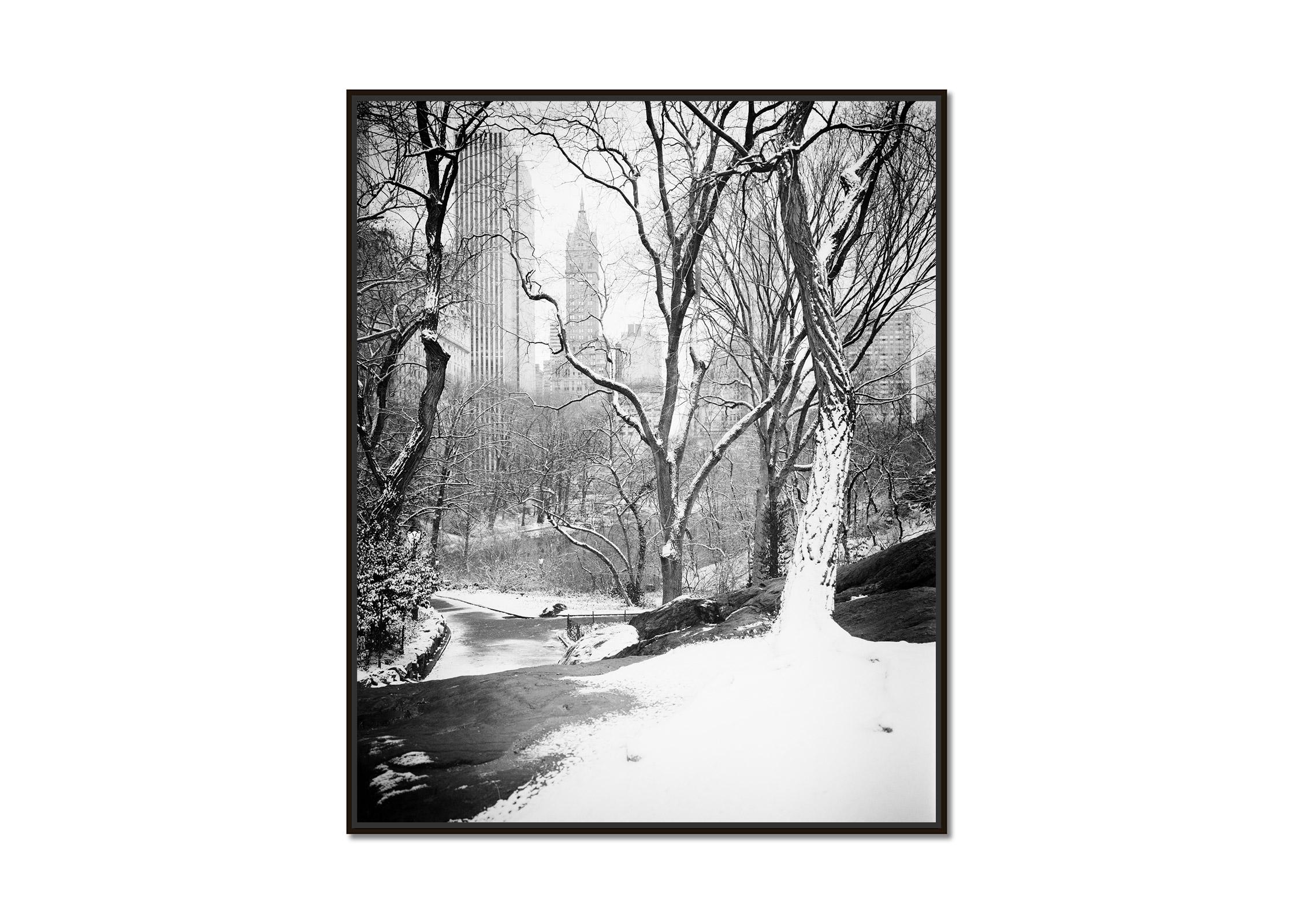 Snow covered Central Park, New York, black and white photography, landscapes - Photograph by Gerald Berghammer
