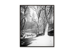 Snow covered Central Park, New York, black and white photography, landscapes