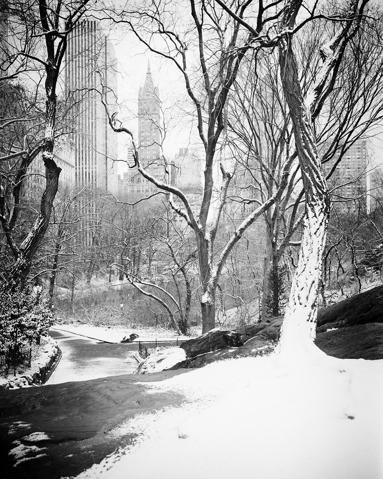 Gerald Berghammer Black and White Photograph - Snow covered Central Park, New York, black and white photography, landscapes