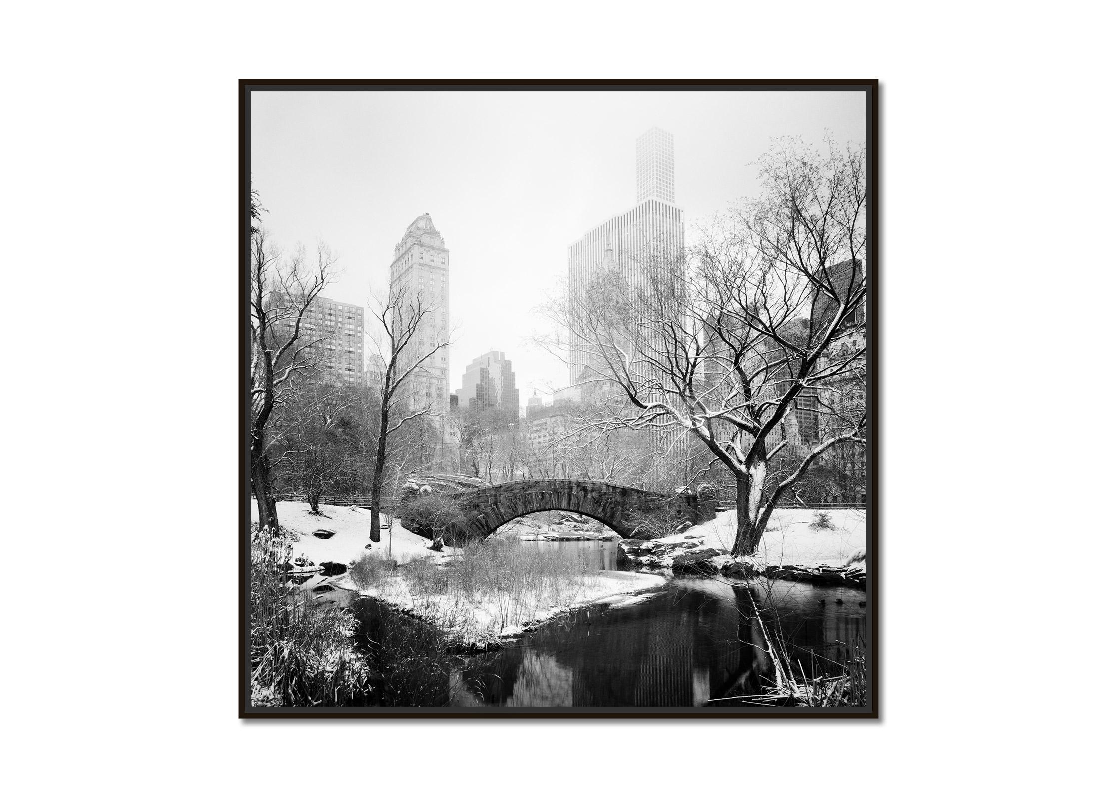 Snow covered Central Park, New York, USA, black and white photography, landscape - Photograph by Gerald Berghammer