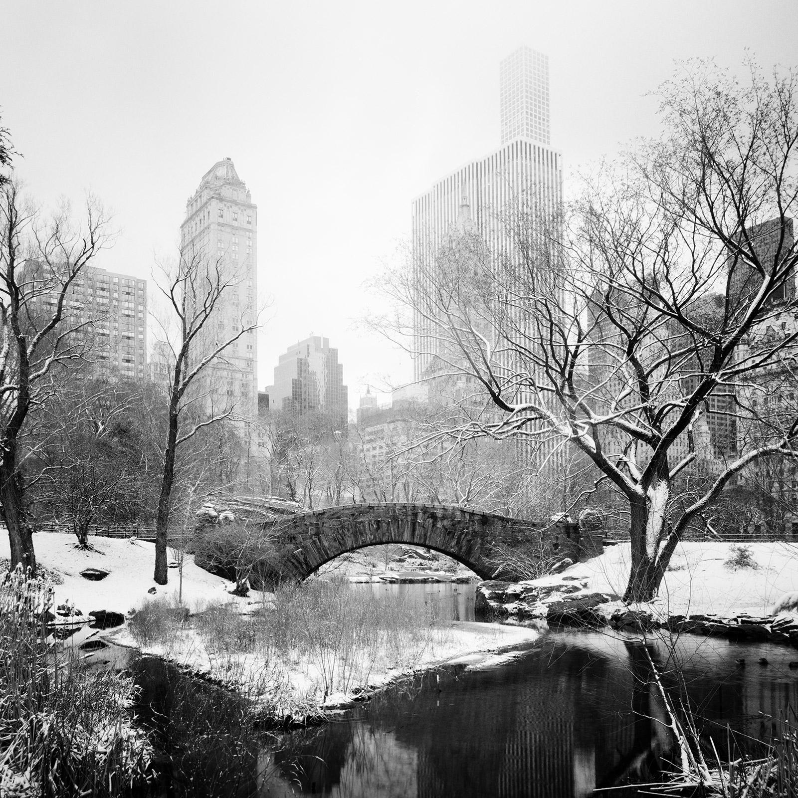 Central Park enneigé, New York, USA, photographie noir et blanc, paysage