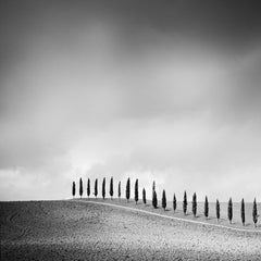 Row of Cypress Trees, Tuscany, Italy, black and white photography, landscapes