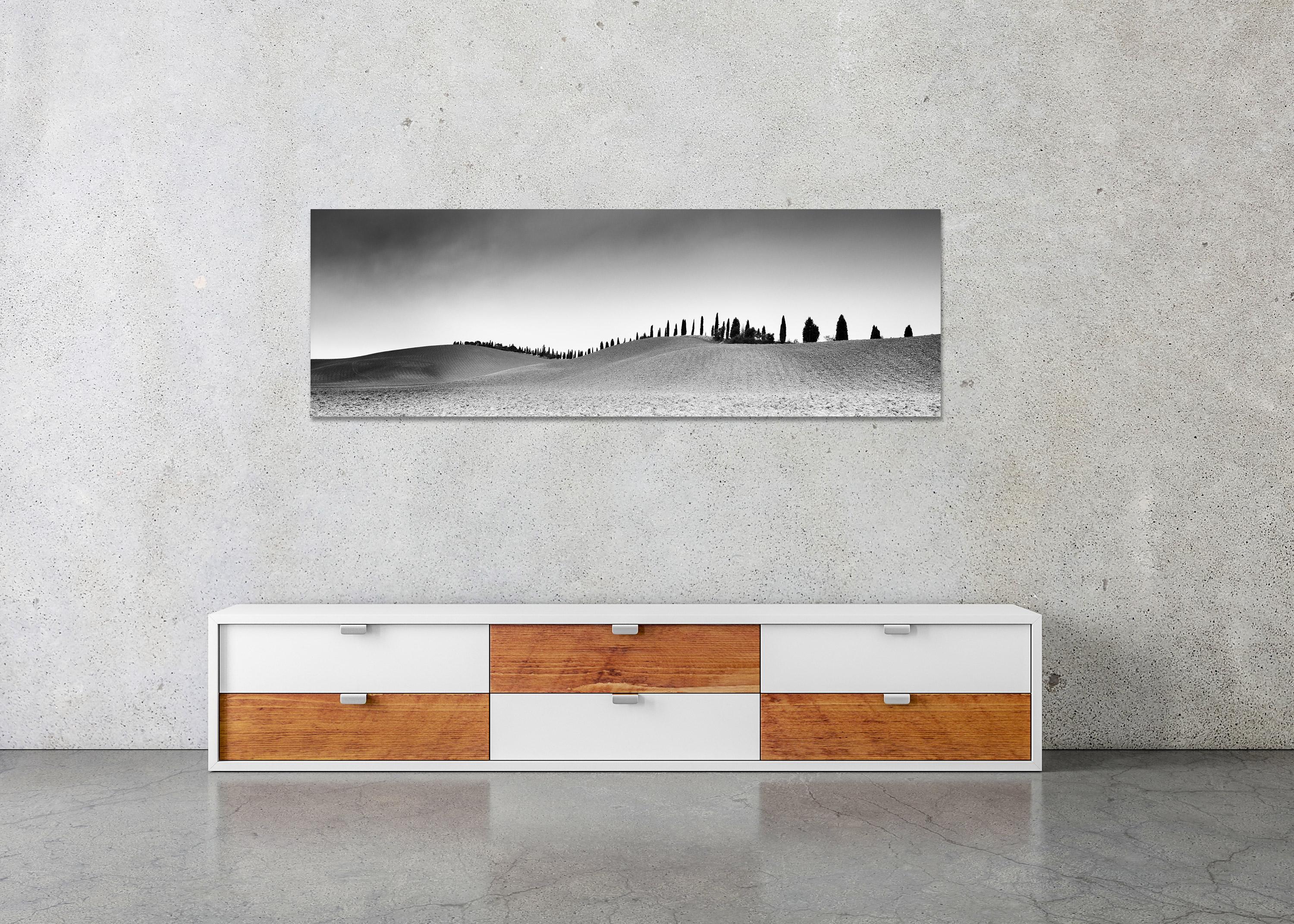 Cypress Trees Panorama, Tuscany, black and white fine art photography landscape - Gray Landscape Photograph by Gerald Berghammer