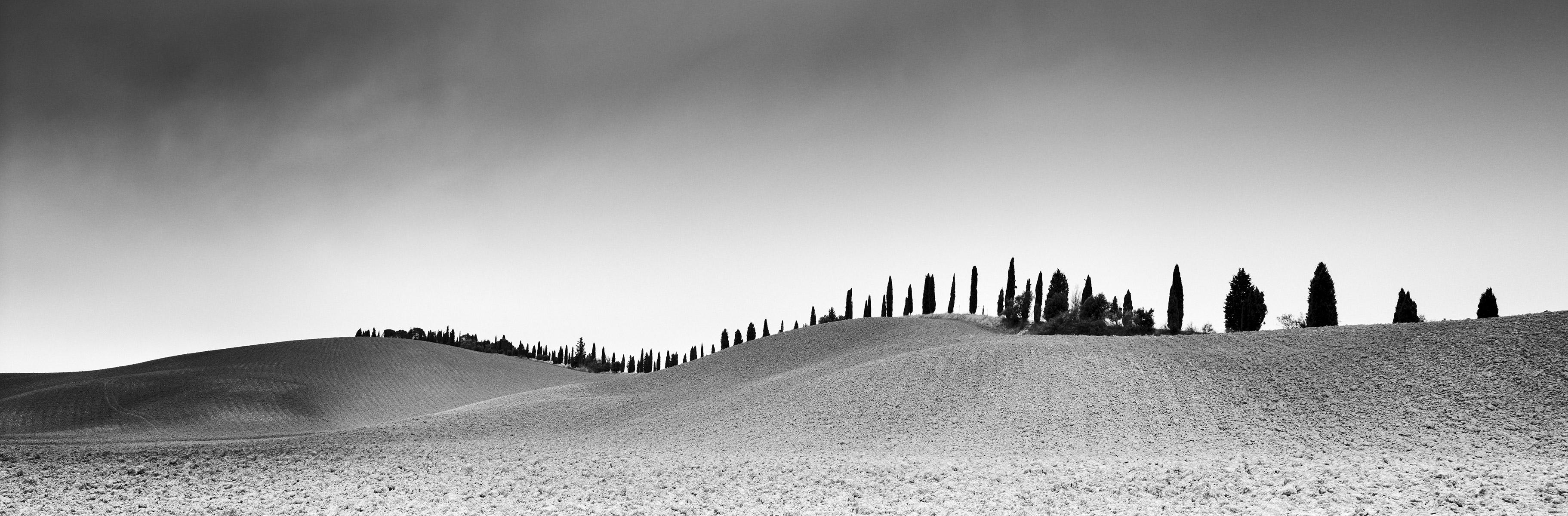 Gerald Berghammer Landscape Photograph - Cypress Trees Panorama, Tuscany, black and white fine art photography landscape