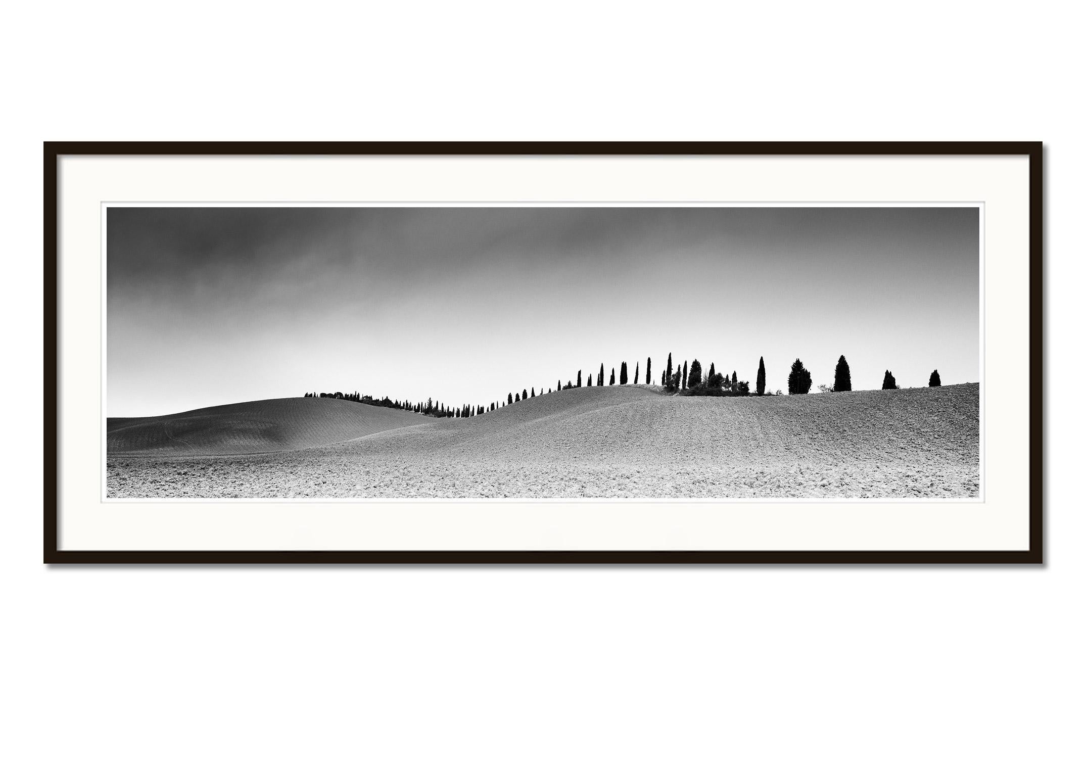 black and white panorama