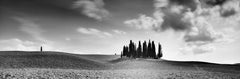 Cypress Hill Panorama, Tuscany, black and white fine art photography landscapes