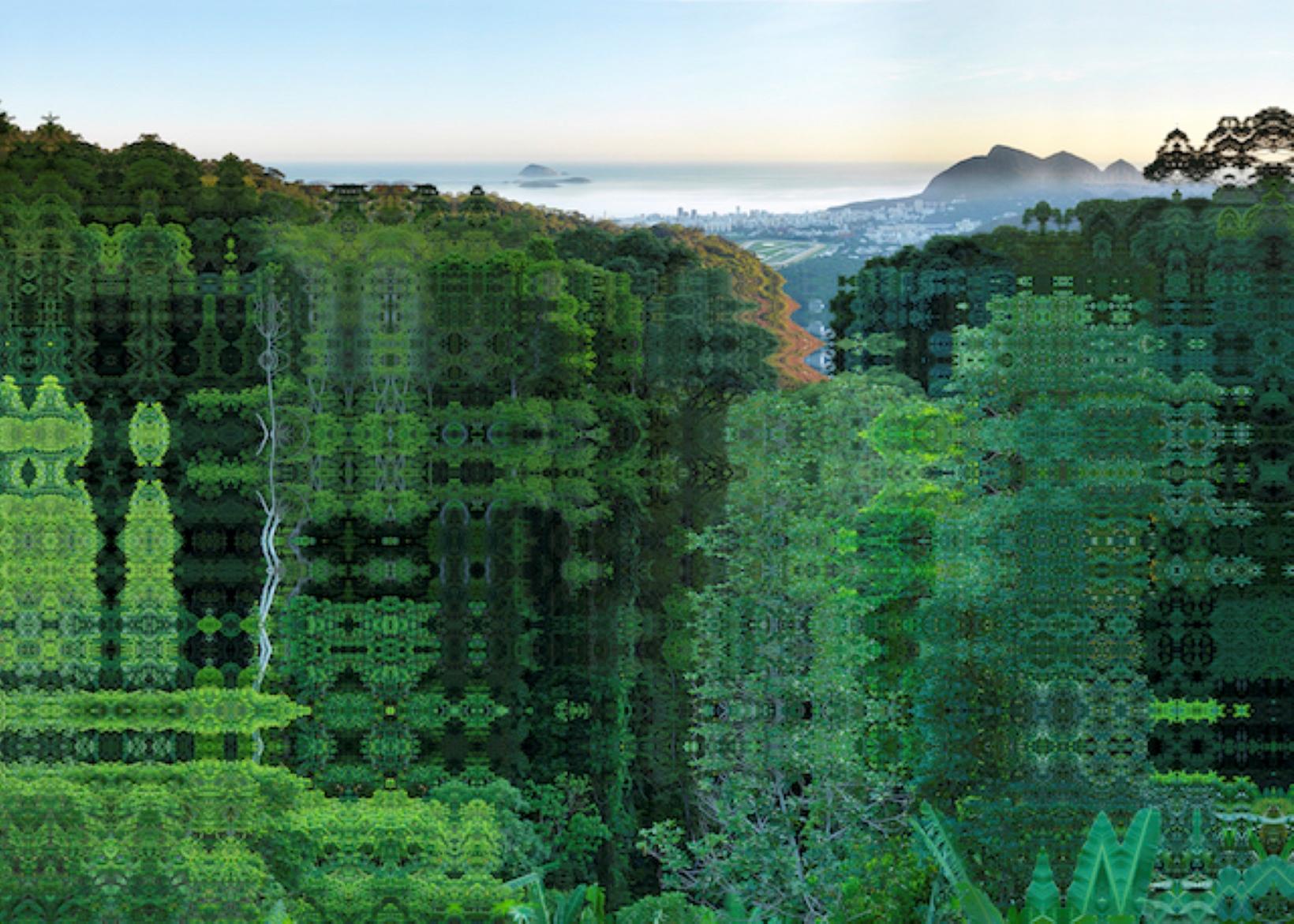 "Rio - Forêt de Tijuca", photographie d'un paysage brésilien par Didier Fournet. 

Didier Fournet est un "peintre" contemporain grâce à la photographie : il a choisi les pixels au lieu des pinceaux et révèle la beauté du monde en transformant les