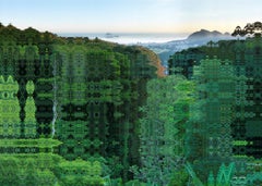 "Rio - Forêt de Tijuca", photography by Didier Fournet (71x99'), 2015