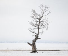 "Baïkal 6", photography by Mikael Lafontan (39x47in), 2018