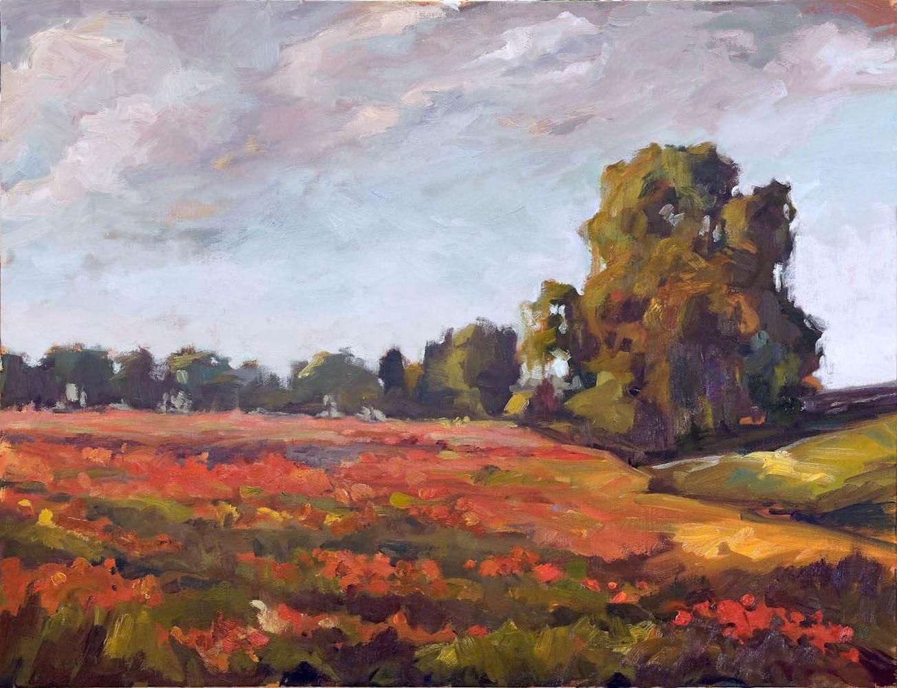 John Beard Landscape Painting - SEA OF POPPIES Contemporary Rural Landscape Fine Art on Giclee Canvas: 48" x 36"