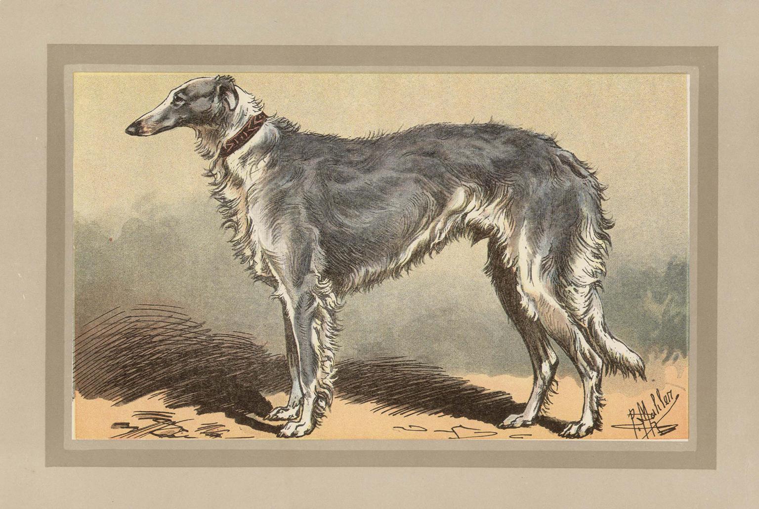 P. Mahler Animal Print – Borzoi, French hound dog chromolithograph, 1930s