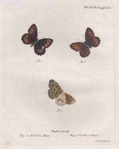 18th Century More Prints